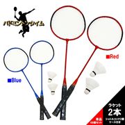 Хɥߥȥ󥿥 2 ñʢ顼 / 48ĥåȡ