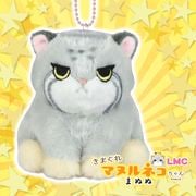 ���ߥ塼�� ���ޤ���ޥ̥�ͥ������LMC�ޤ̤�