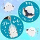 �դ�դ亮�ޥ��ʥ�����󥨥����衼�衼 ��6�� (24������)