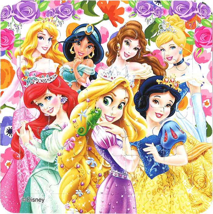 �ǥ����ˡ������륹����20P�ѥ���2 ����12���24������