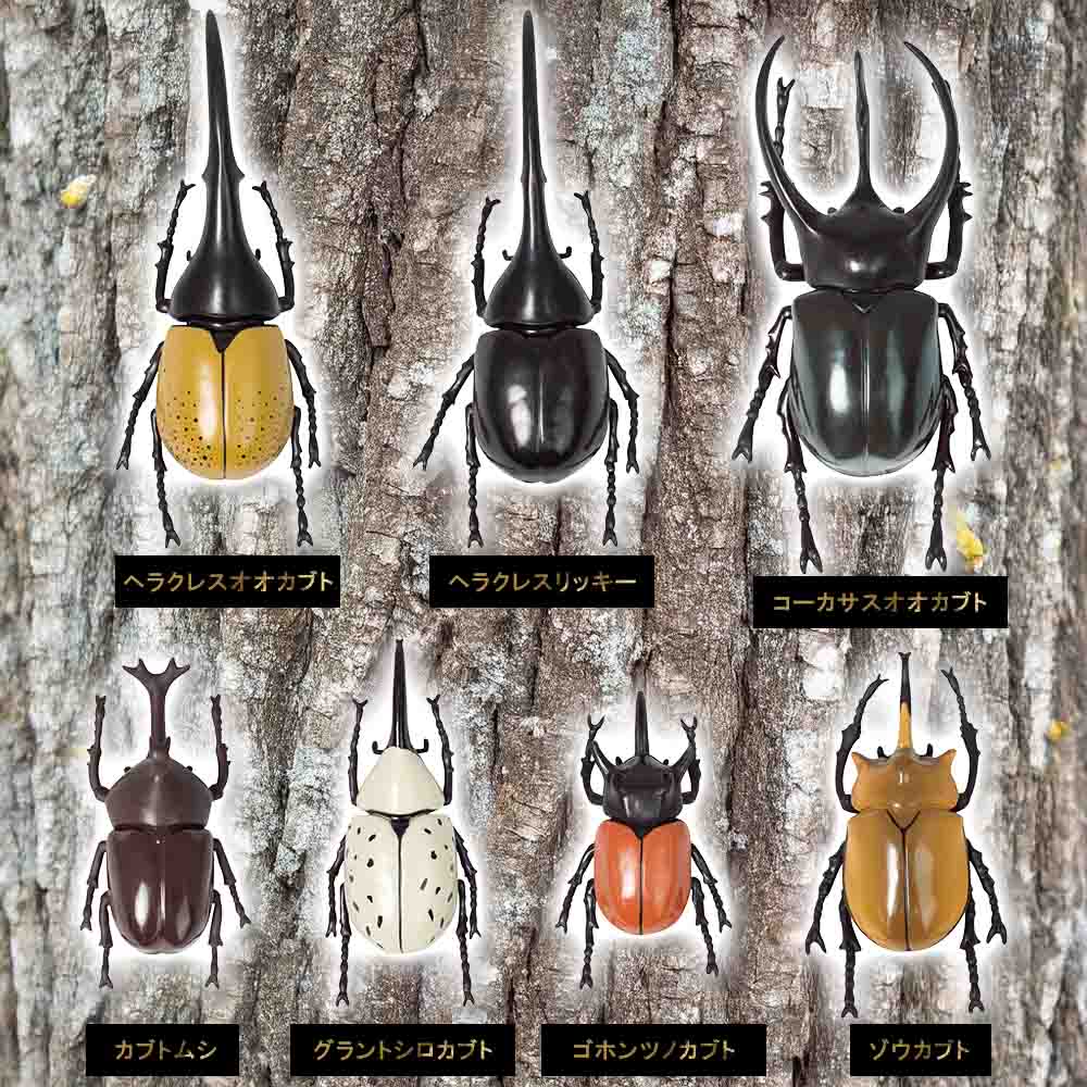 Ω�ι���޴� �����Υ��֥ȥॷ ���ǥ�������