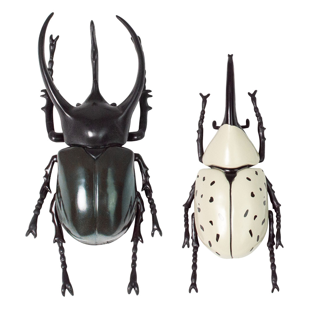 Ω�ι���޴� �����Υ��֥ȥॷ ���ǥ�������