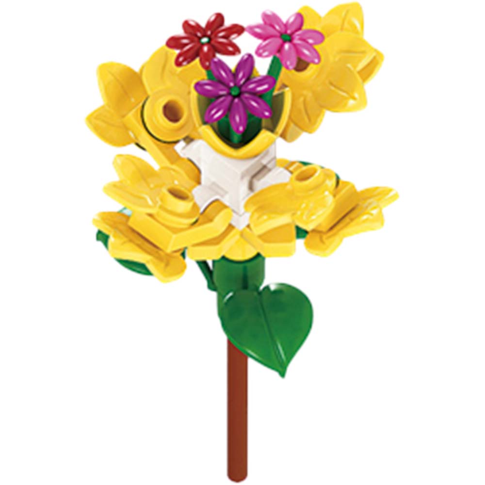 �֥��å����쥯����󡡥ե���12�ĥ��åȡ���6���