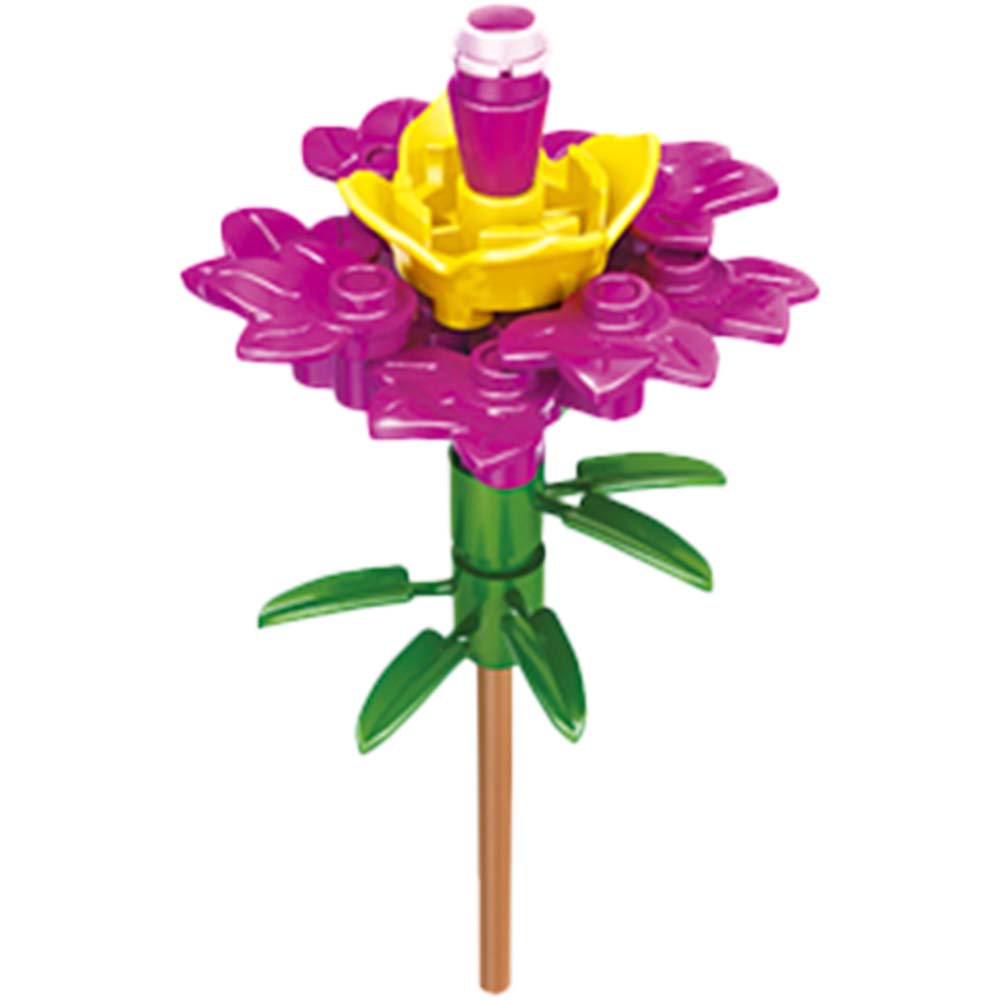 �֥��å����쥯����󡡥ե���12�ĥ��åȡ���6���