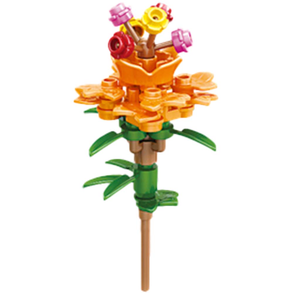 �֥��å����쥯����󡡥ե���12�ĥ��åȡ���6���