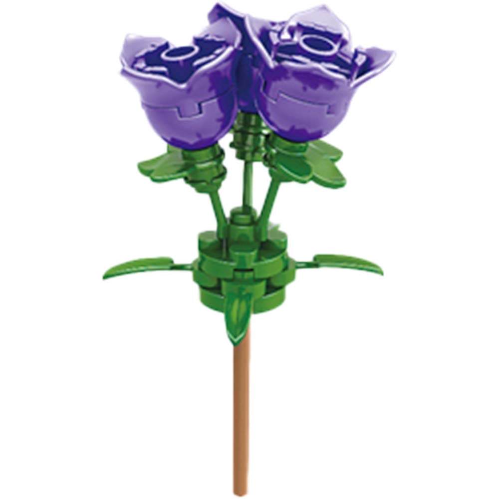 �֥��å����쥯����󡡥ե���12�ĥ��åȡ���6���