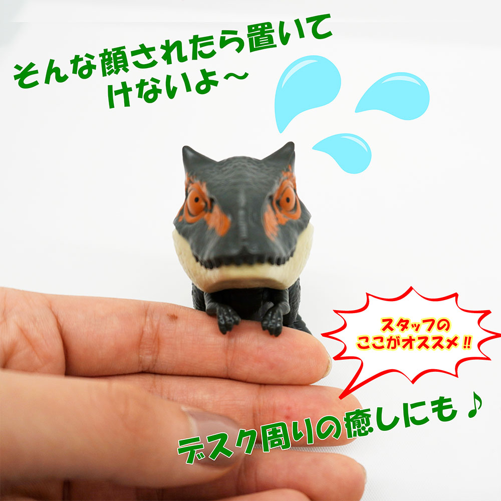 ���ߤĤ���ε���֥꡼�� ����8��ˡ��������ྦ��