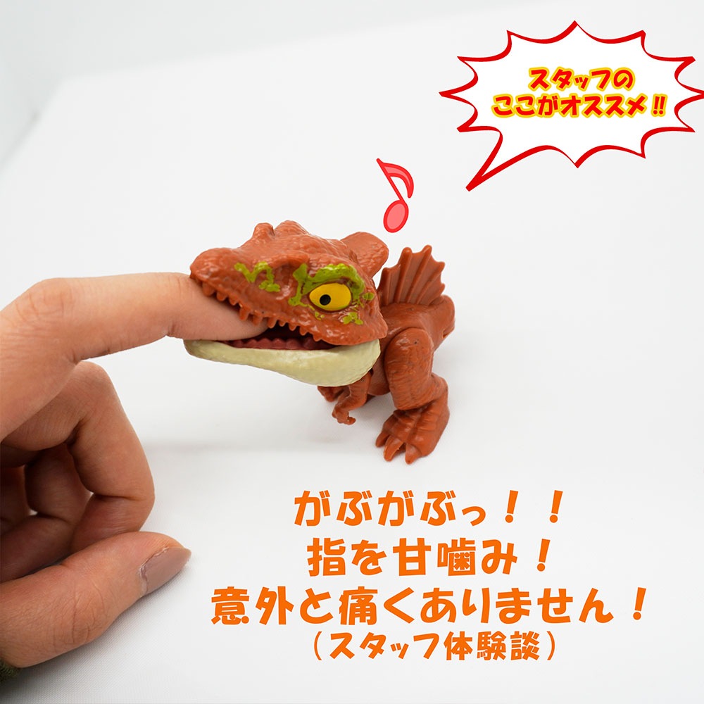 ���ߤĤ���ε���֥꡼�� ����8��ˡ��������ྦ��