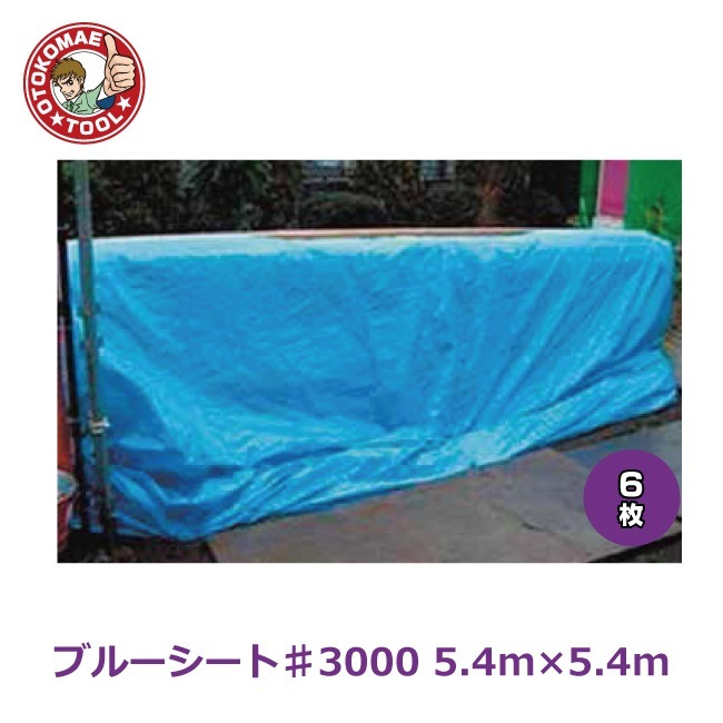 �᡼����ľ����6�祻�å�/�֥롼�����Ȣ�3000��5.4m��5.4m