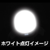 �᡼����ľ�� �����åȥ��Υ��� LA-015 �ϥ��ѥLED T10 �����å��Х��NEO �ۥ磻�� 529034 ������Բġ������Բ�