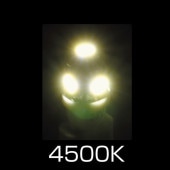 �᡼����ľ�� �����åȥ��Υ��� LED T10�����å��Х�� �ۥ磻�� LA-004 529161 ������Բġ������Բ�