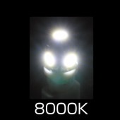 �᡼����ľ�� �����åȥ��Υ��� LED T10�����å��Х�� �ۥ磻�� LA-006 529163 ������Բġ������Բ�