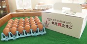 大村紅たまご（40個入）