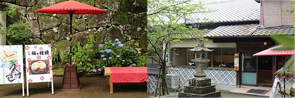 大村寿し8角(2人前)・穴子入り大村寿し(2人前)セット