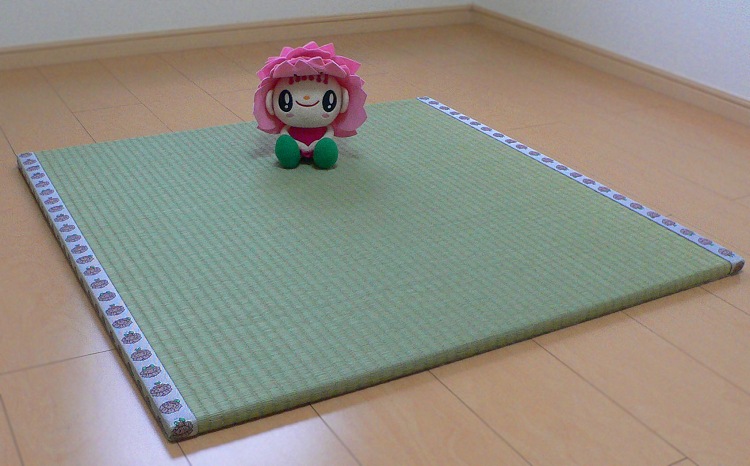 畳屋さんが作った!「わんぱく畳」天然い草半畳タイプ(おむらんちゃん縁)