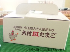 大村紅たまご(40個入)