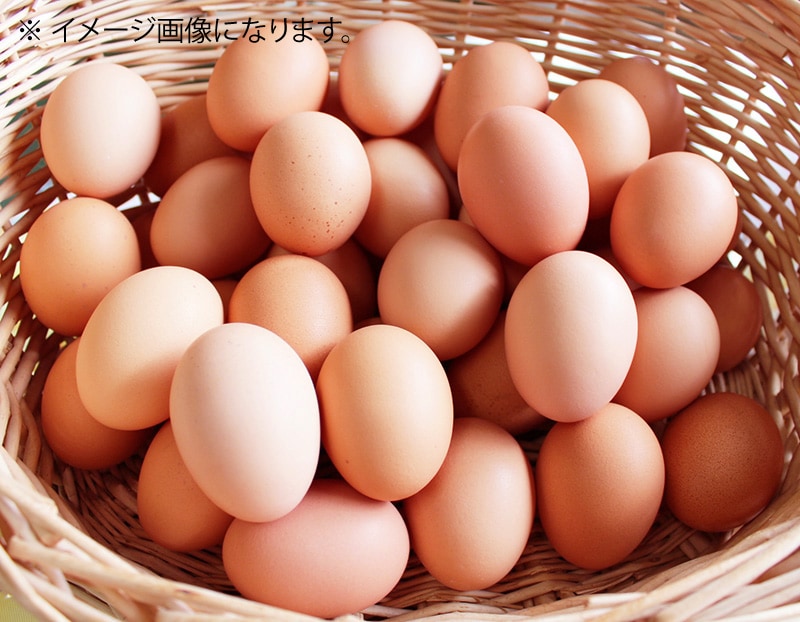 大村紅たまご　醤油付（赤卵20個・醤油1本）