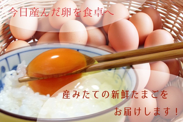 大村紅たまご　醤油付（赤卵20個・醤油1本）