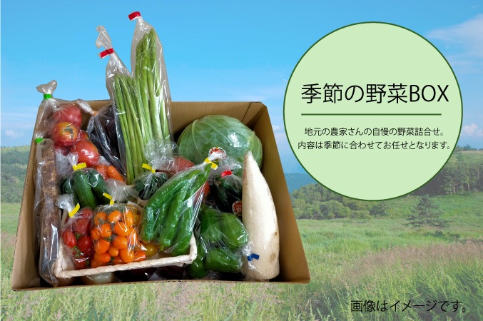 季節の野菜BOX【野菜お任せ】