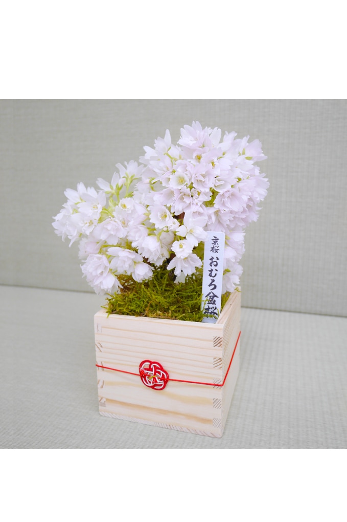 ❮１個売りです ❯ ミニサイズ♧可愛らしい雰囲気♡ 造花 お手入れ不要♬ 61C1keb6gHL._AC_UF350,