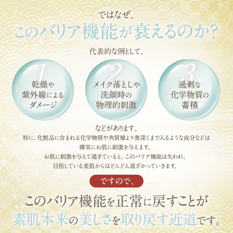 「ひらしま美人」＆「洗顔フォーム」のセット販売　お試し買いにも！送料無料でお得にお届け