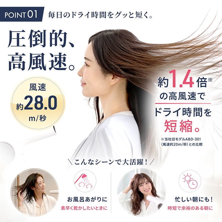 【一般用】ワンダム 海外対応 プラズマケア ヘアドライヤー BLOW+  HBD-702F