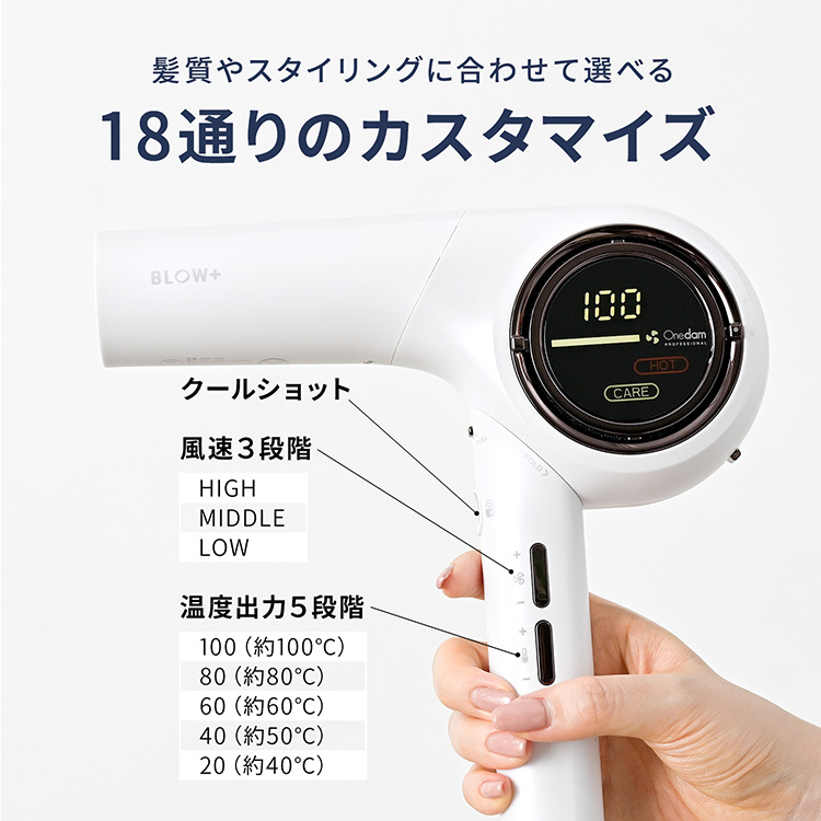 【一般用】ワンダム 海外対応 プラズマケア ヘアドライヤー BLOW+  HBD-702F
