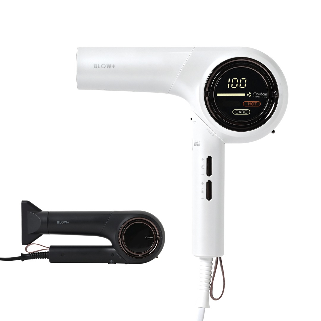 【業務用】ワンダム 海外対応 プラズマケア ヘアドライヤー BLOW+ ABD-702F