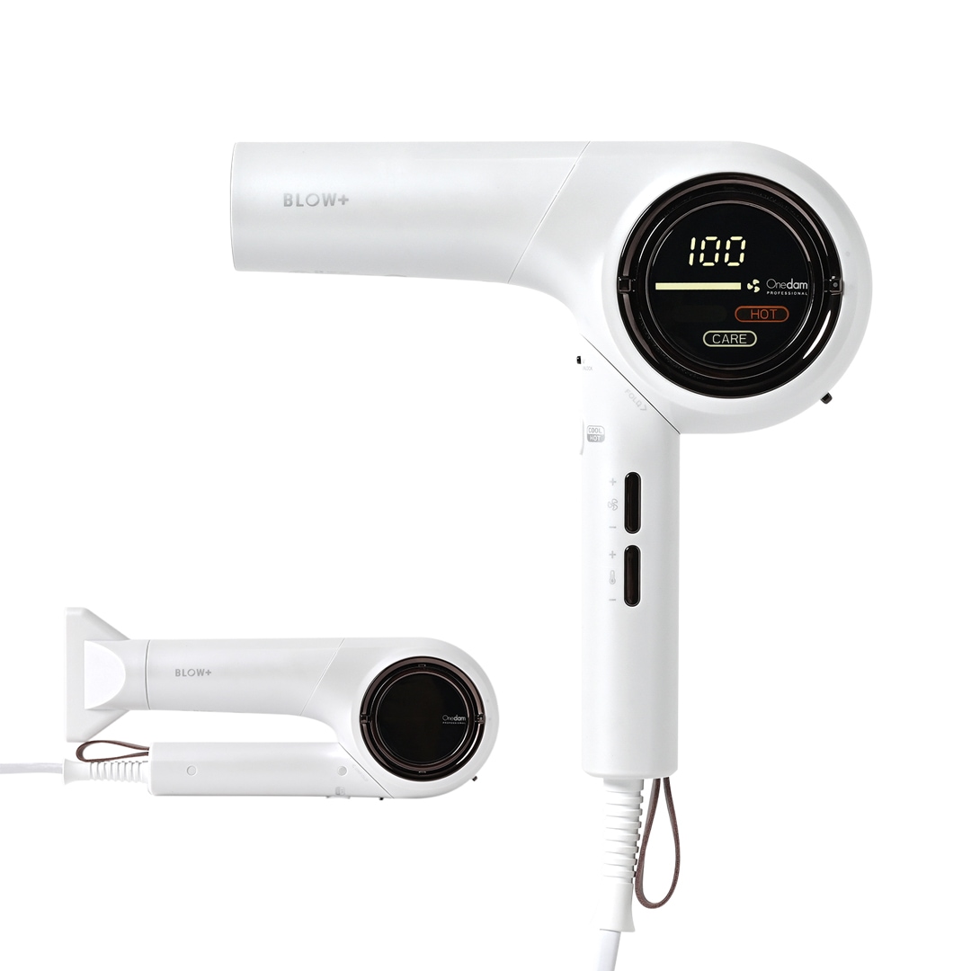 【業務用】ワンダム 海外対応 プラズマケア ヘアドライヤー BLOW+ ABD-702F