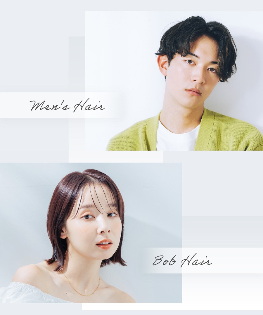 【一般用】ワンダム シルキーブラックヘアアイロン The PREMIUM AHI-253C