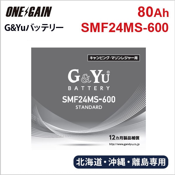 Υ�� �̳�ƻ �������� SMF24MS-600 G&Yu ���ߥ�������Хåƥ꡼ �ǥ����ץ������� �������ƥ���ξ�� 80Ah 20����Ψ����