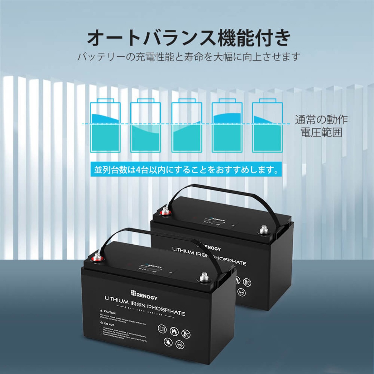 RENOGY Ŵ।Хåƥ꡼ 50AH 24V Υ  RBT2450LFP ľ³Բ