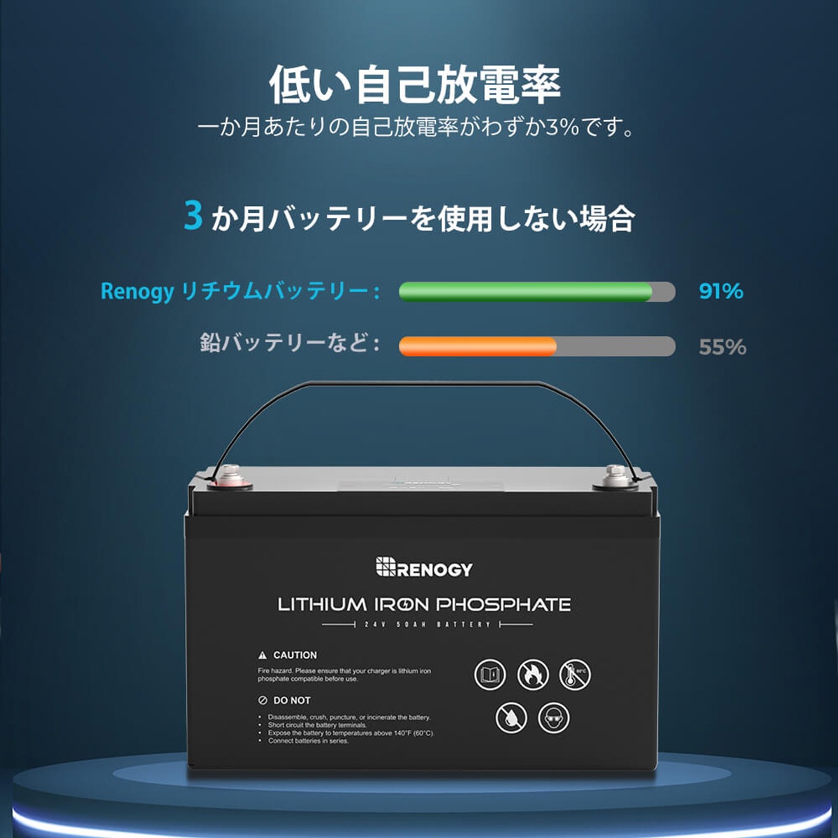 RENOGY Ŵ।Хåƥ꡼ 50AH 24V Υ  RBT2450LFP ľ³Բ