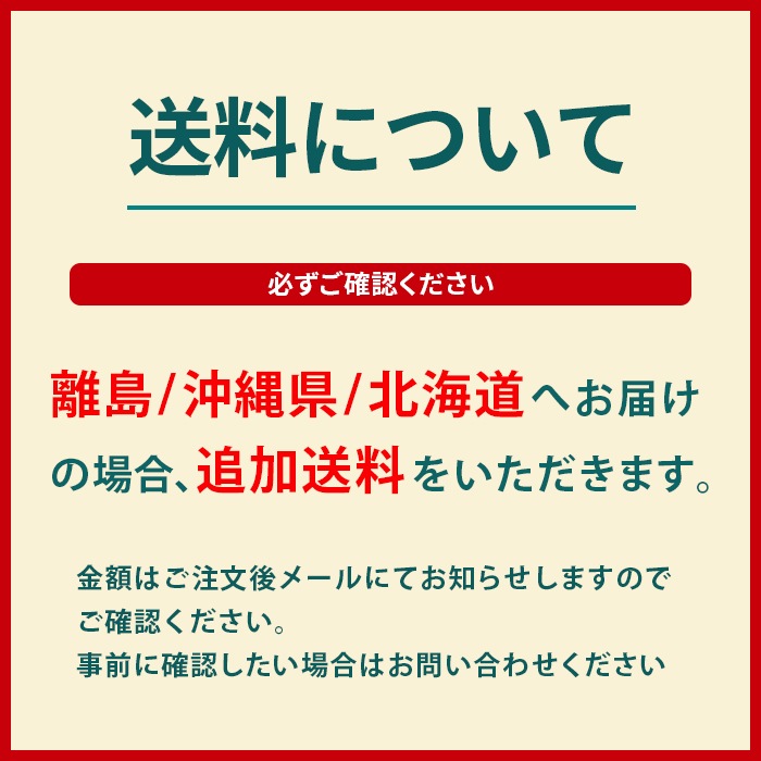 NOCO �����ץ���������GB150���Ѽ�Ǽ������ GB���꡼������ ������EVA ���� �ɿ���ȴ�� NOCO�֡�����PLUS GBC015