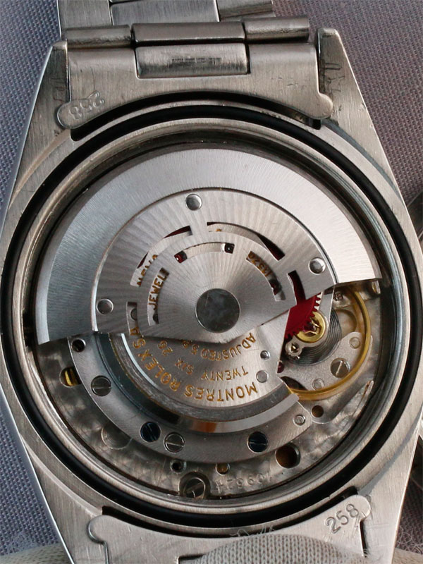 �ңϣ̣ţء��ӣӥ��������ݥѡݥڥ��奢��֣ţأУ̣ϣңţҡ�����