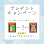 Ĳ�褴�Ϥ󥻥åȡ���1����ʬ��