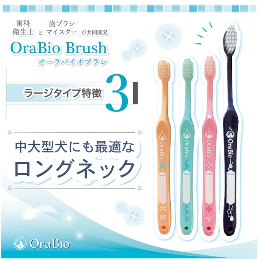 ������Х����֥饷