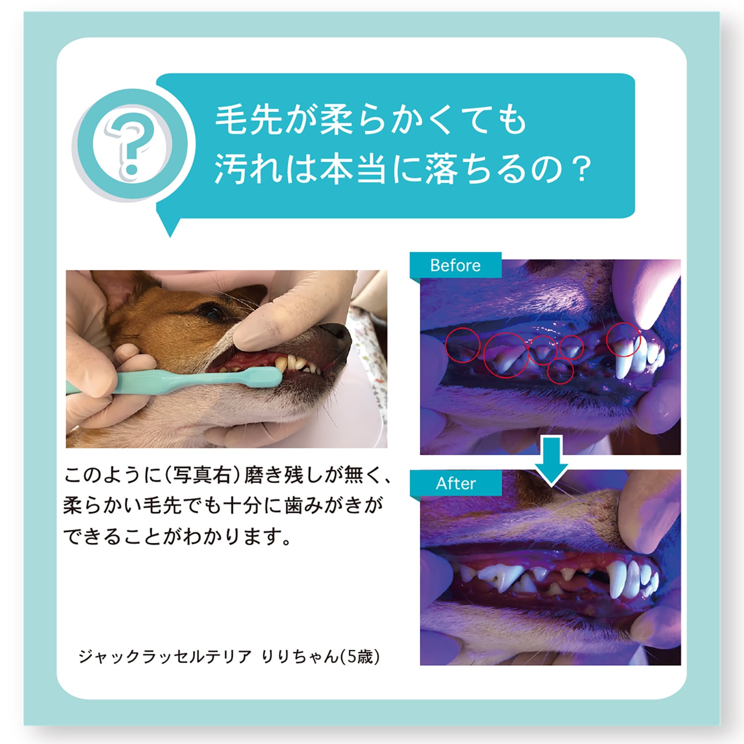 ������Х����֥饷