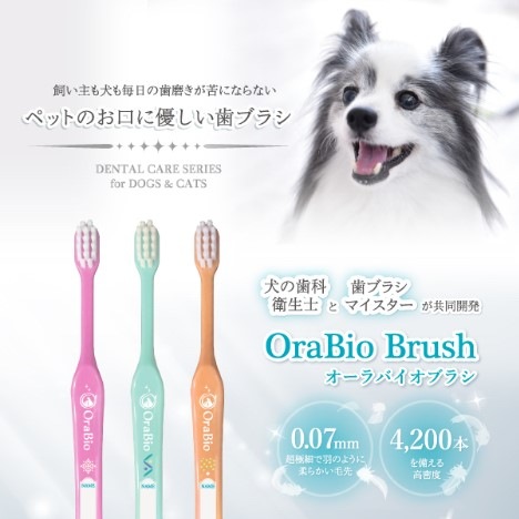 ������Х����֥饷