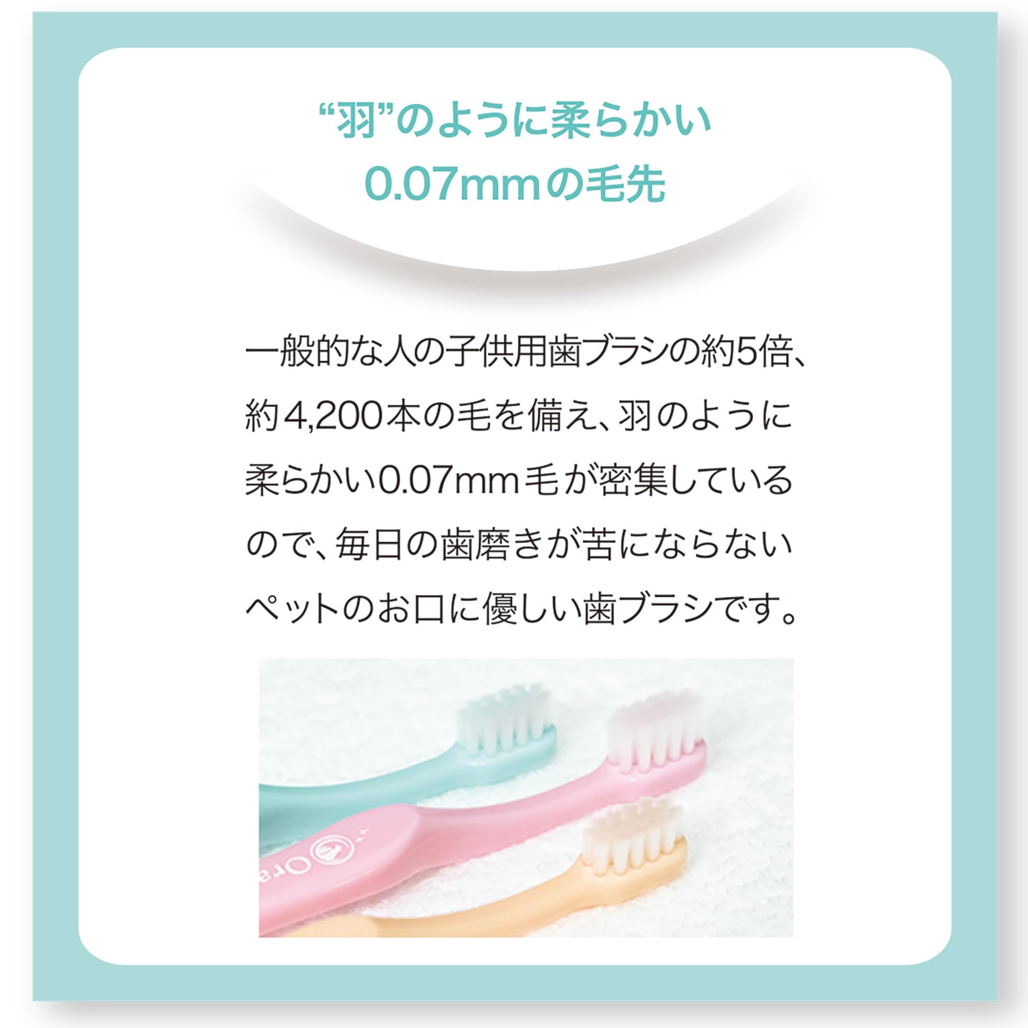 ������Х����֥饷