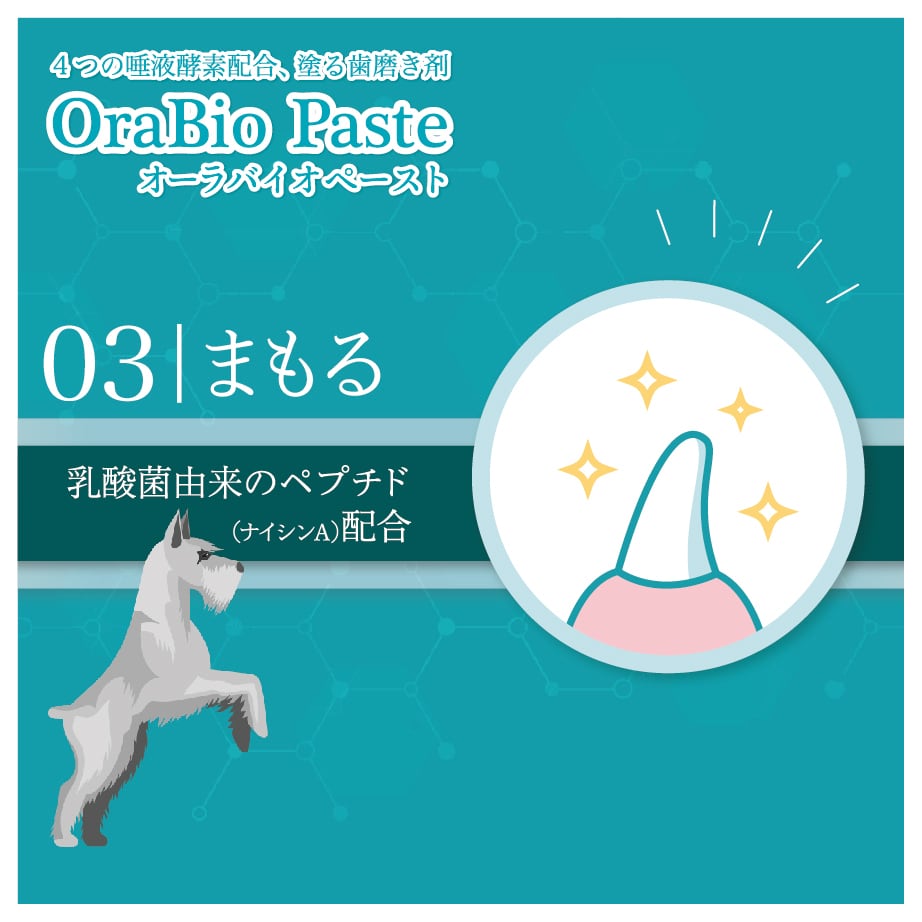 ������Х����ڡ�����/������Х����ڡ�����pro