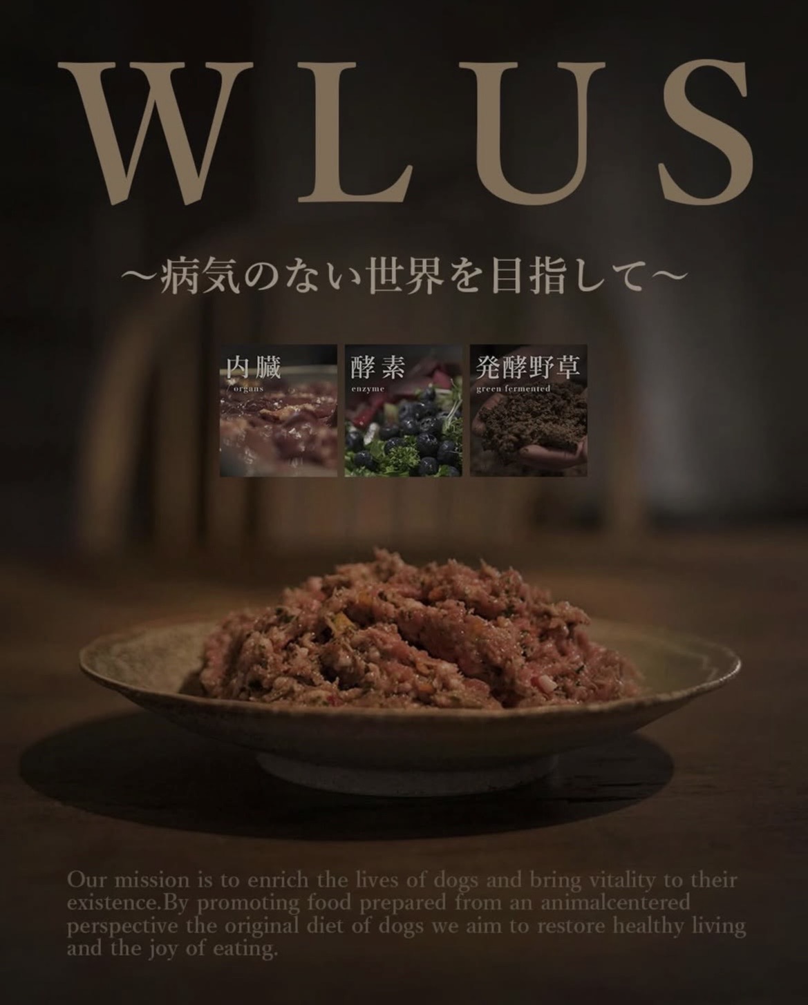 WLUS�ʥ��륹�� ���Ƽ ���ﲹ���ʤ�Ʊ���Բ�