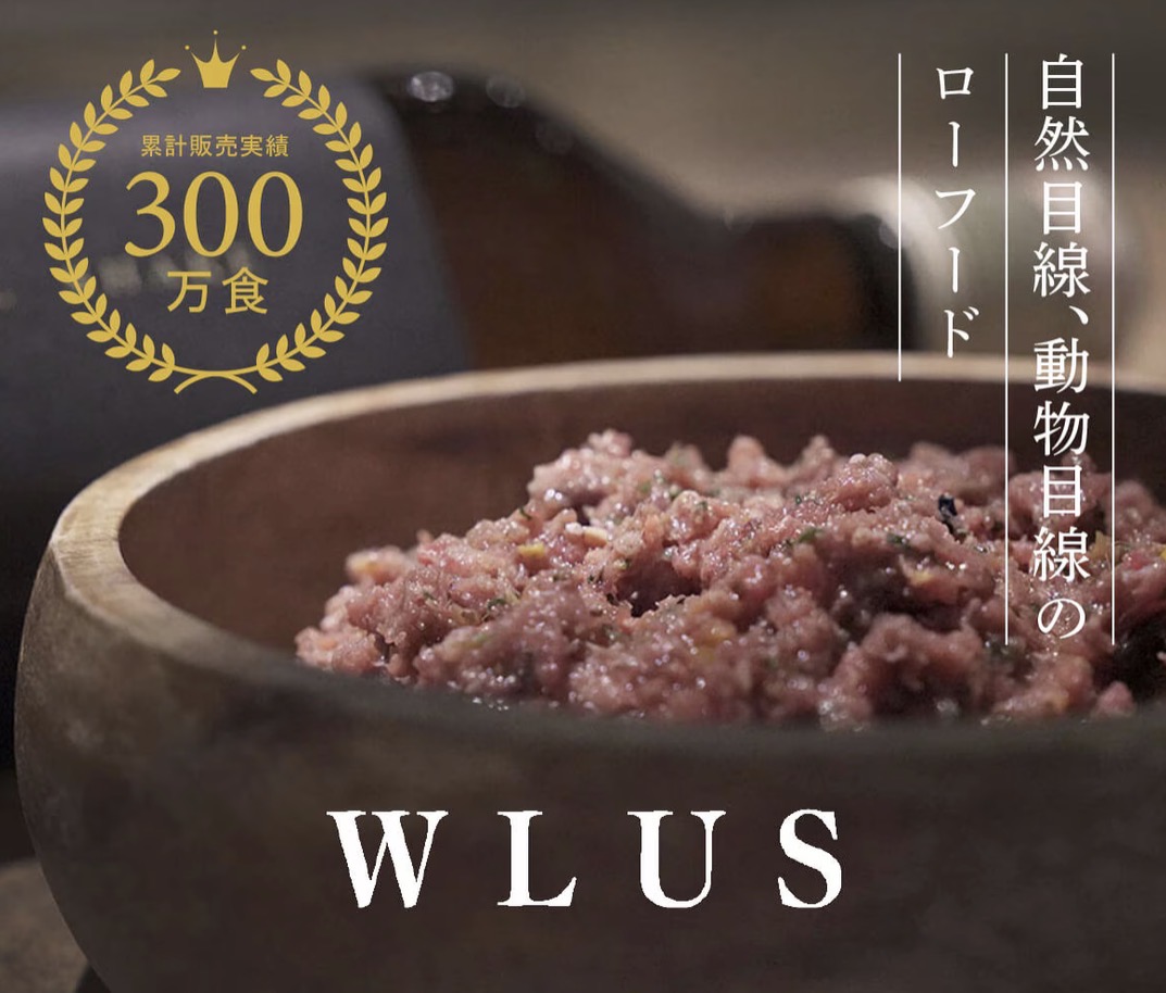 WLUS�ʥ��륹�� ���Ƽ ���ﲹ���ʤ�Ʊ���Բ�