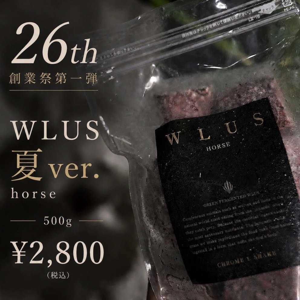 WLUS�ʥ��륹�� ����ver ���������/�ۡ����� ���ﲹ���ʤ�Ʊ���Բ�