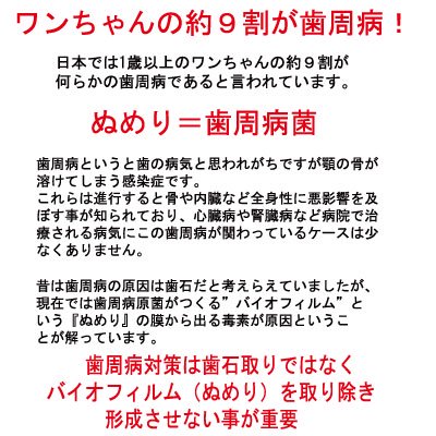 �դ�⤳MOUTH��CLEAN�֥饷���������������åȡ�M������С�