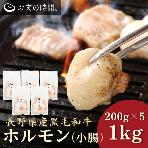 【お得セット】長野県産黒毛和牛（信州和牛）ホルモン（小腸）200g×5袋［1kg］《お肉の時間。限定》