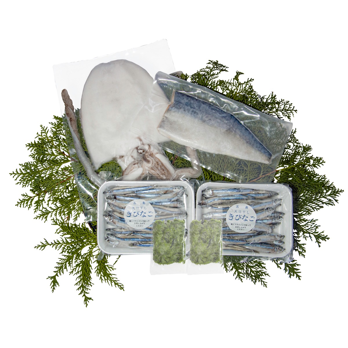 ����γ��ι� ��������