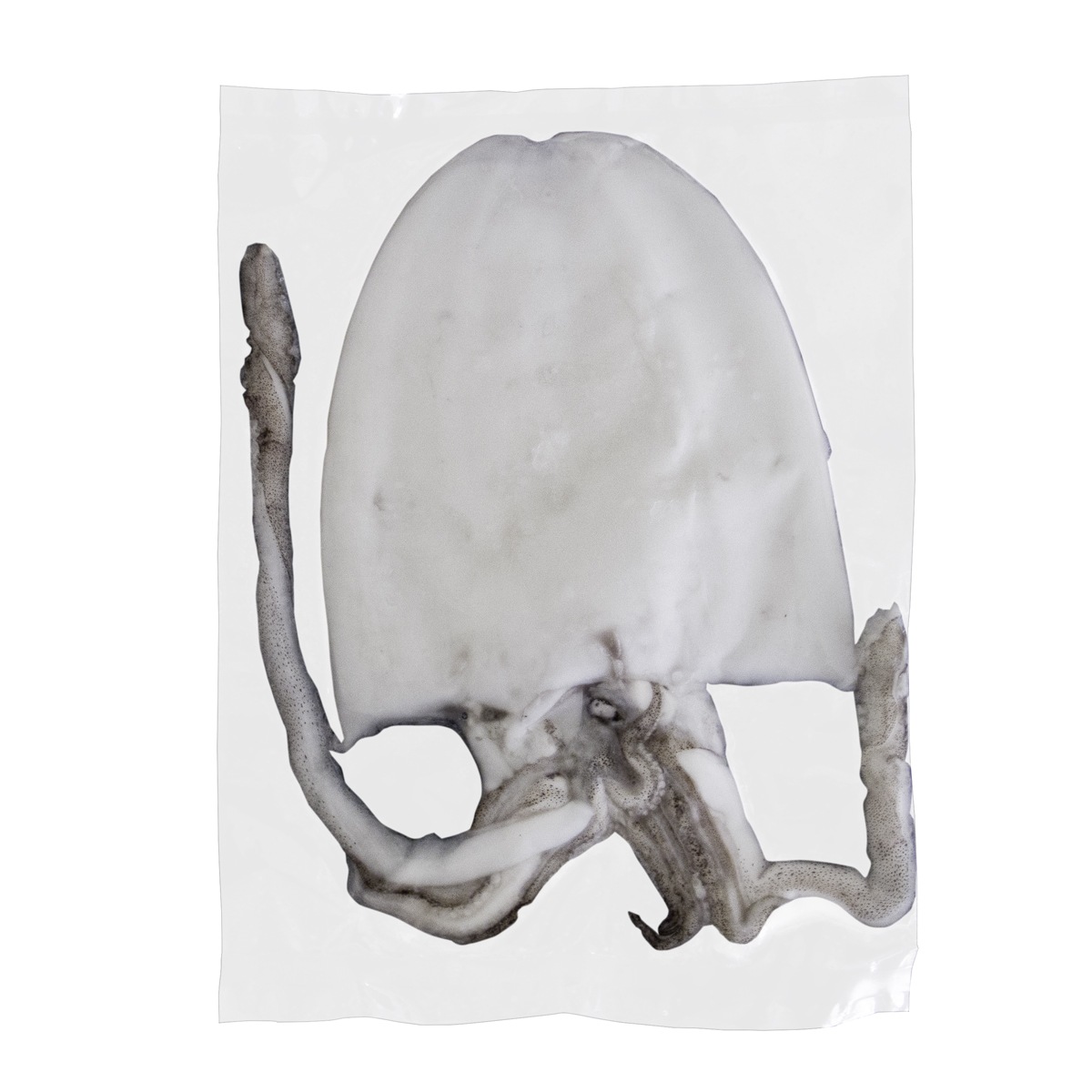 ����γ��ι� ��������