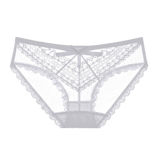 下着 パンティ・ショーツ(Sexy Underwear T-back・Shorts) dr182商品サムネ画像