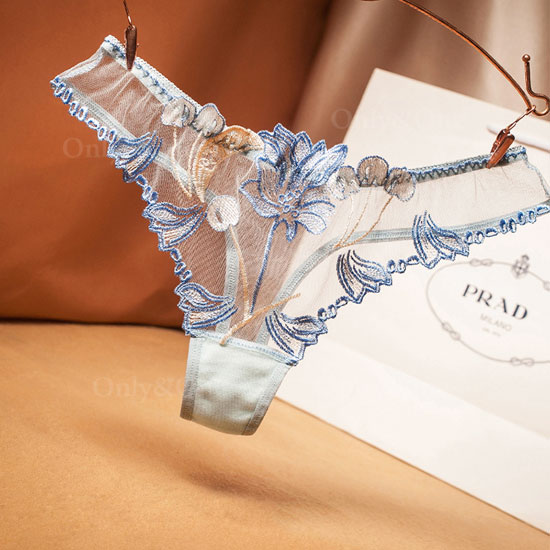 下着 パンティ・ショーツ(Sexy Underwear T-back・Shorts) dr156商品サムネ画像